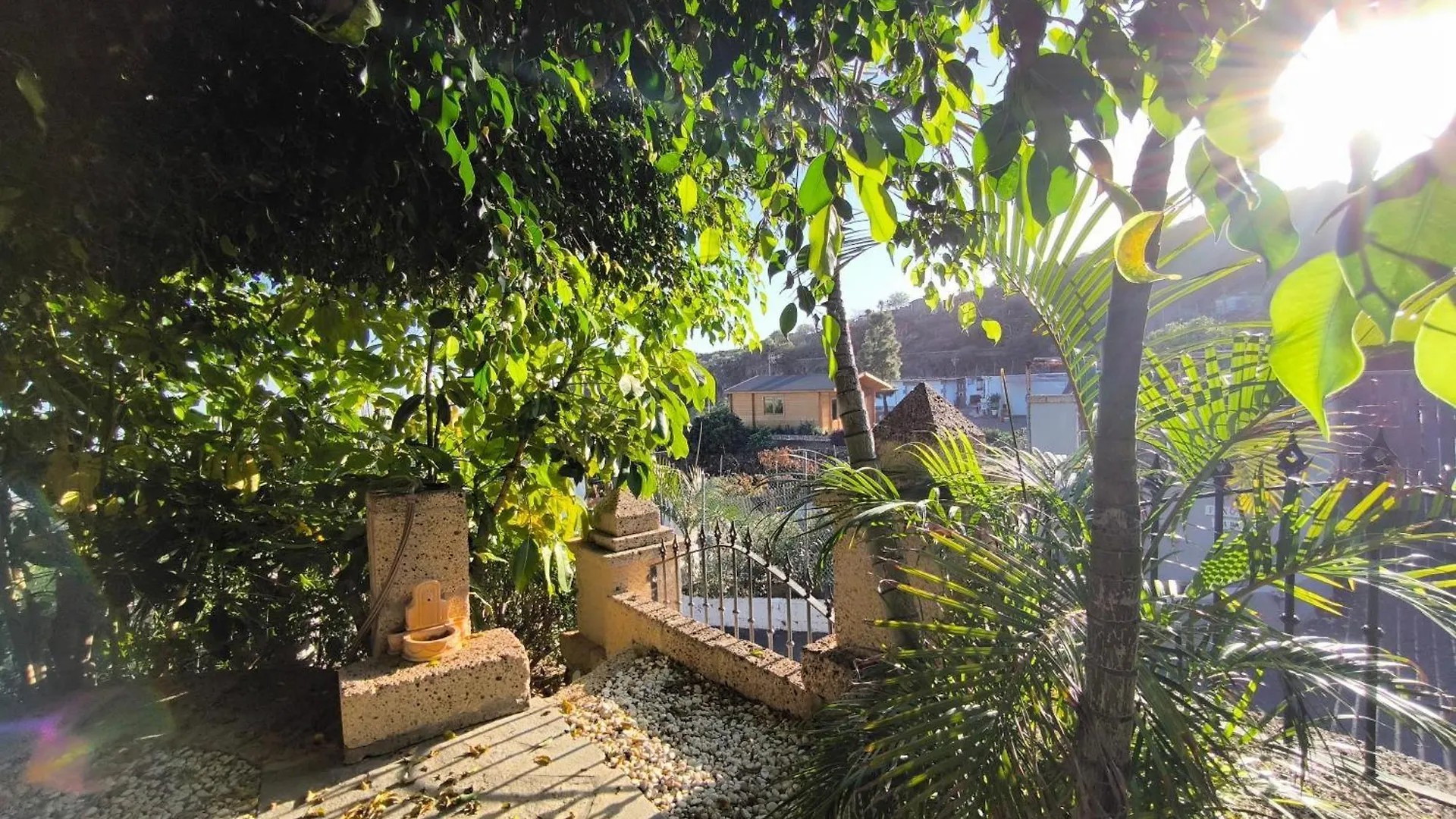 Finca Veronica Candelaria