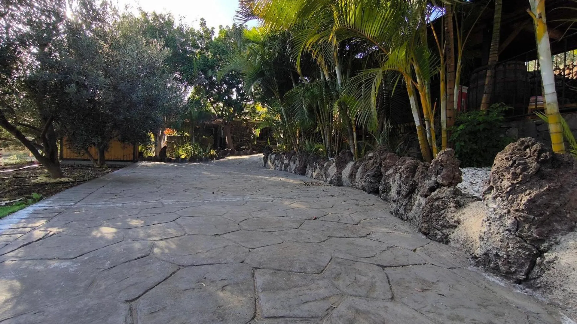 Chalet Finca Veronica Candelaria Spain