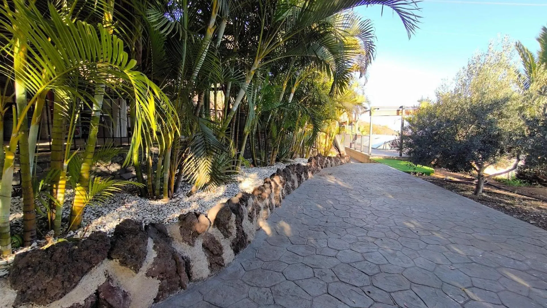 Finca Veronica Candelaria 0*,  Spagna